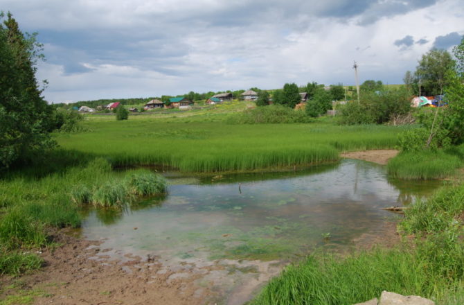 Река Козловка в соликамском селе Половодово благодаря местной жительнице вошла в нацпроект «Экология»